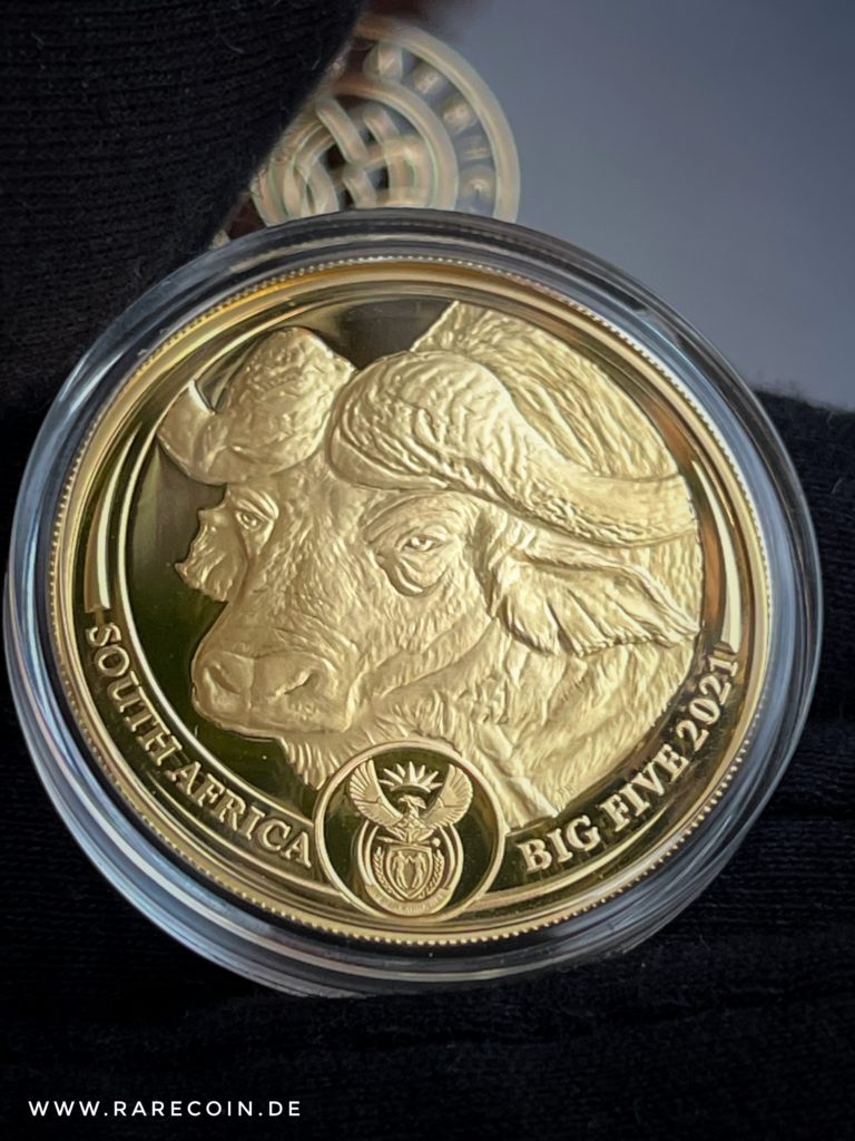 Moneda Big Five Buffalo 1oz 2021 Oro