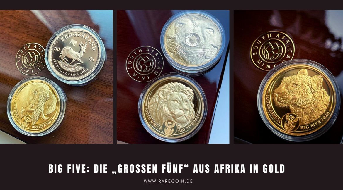Cinque grandi animali del Sud Africa come monete d'oro