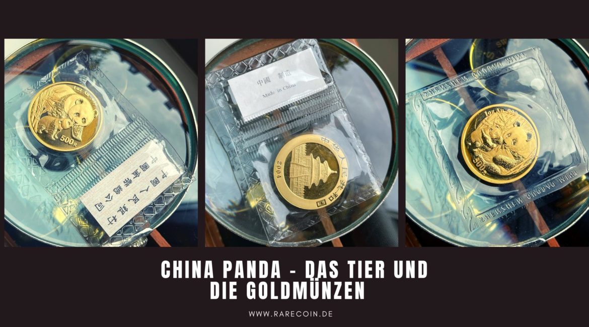Китайская панда - животное и золотые монеты