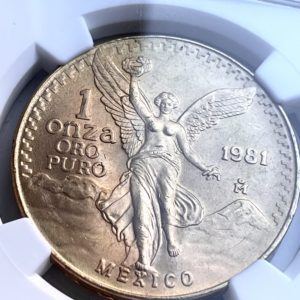 Mexiko Libertad 1981 1oz NGC MS66