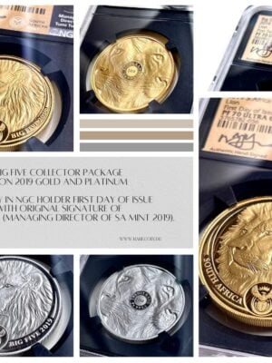Big Five Gold Platinum Lion Collector Package