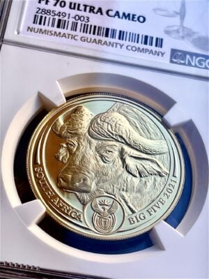 Big Five 2021 Buffalo NGC PF70 UCAM