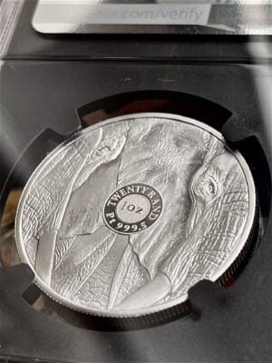 大五象-2019-首日发行-NGC-PF70-ucam_platin_3 Big Five 2019 大象白金奖