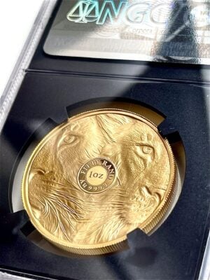 大五狮-2019-首日发行-NGC-PF70-ucam_3 2019年五狮大奖金奖