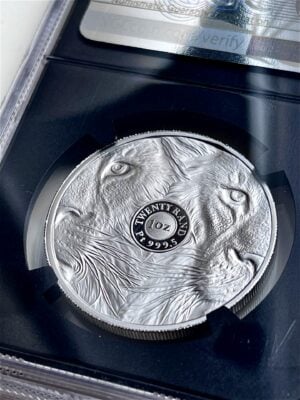 大五狮2019-首日-NGC-PF70-ucam_platin_3 Big Five Lion 2019白金唱片