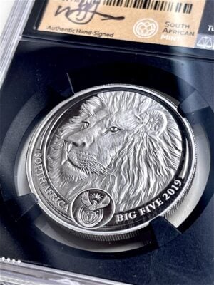 Big Five Lion 2019白金唱片