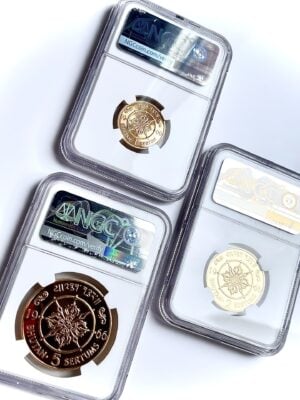 不丹-塞尔图姆-吉美-多吉-40-王位证明-防备-ngc_2 不丹色敦晋美多吉登基40周年证明套装NGC