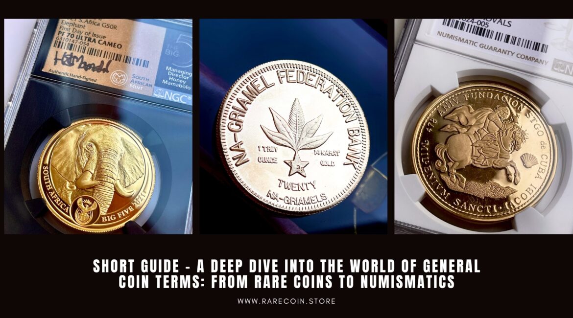 Quick Guide - An insight into the world of general coin terms: from rare coins to numismatics