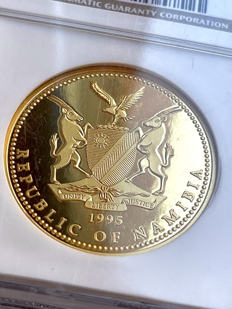 Намибия 1995 года 100 долларов.