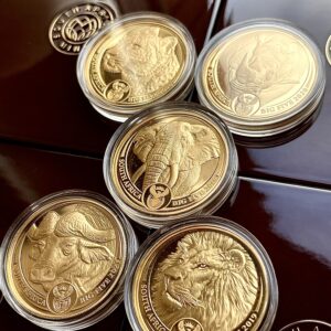 Южная Африка Большая пятерка серии 1 2019-2021 5 золотых монет 1 унция Gold Proof