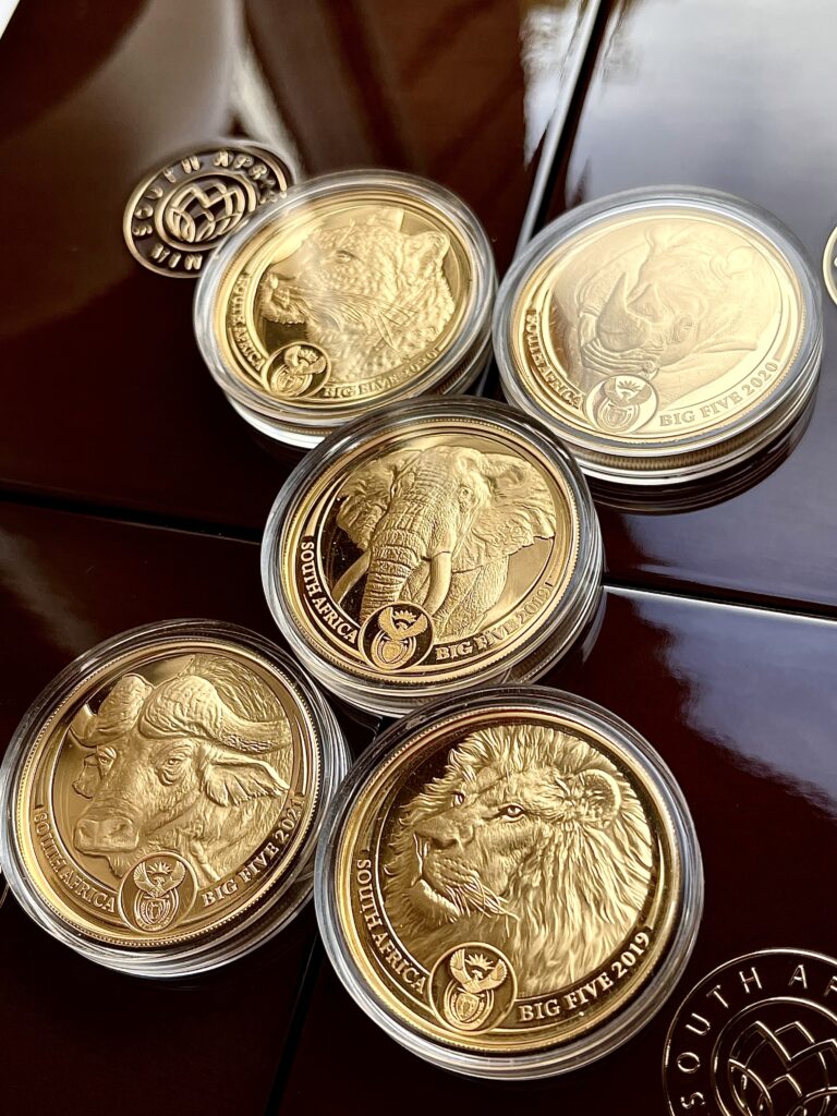 Sud Africa Big Five Serie 1 2019-2021 5 monete d'oro 1 oncia d'oro Proof