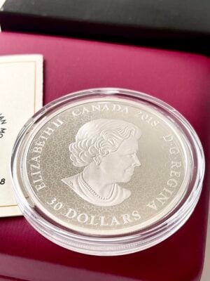 Canada-2018-30-dollar-fireworks-Niagara Falls-2oz-silver-coin-blacklight_4 Canada 2018 30 Dollari Fuochi d'artificio Cascate del Niagara Moneta d'argento da 2 once Blacklight