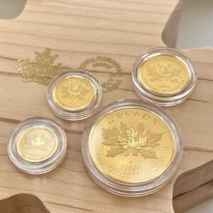 kanada 2018 maple leaf gold fractional 4 muenzen set reverse proof 3