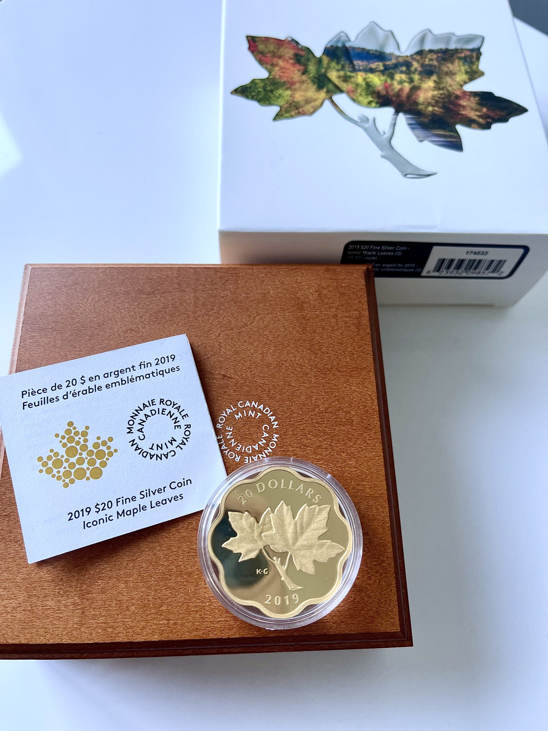 加拿大- 20 美元- 标志性的枫叶