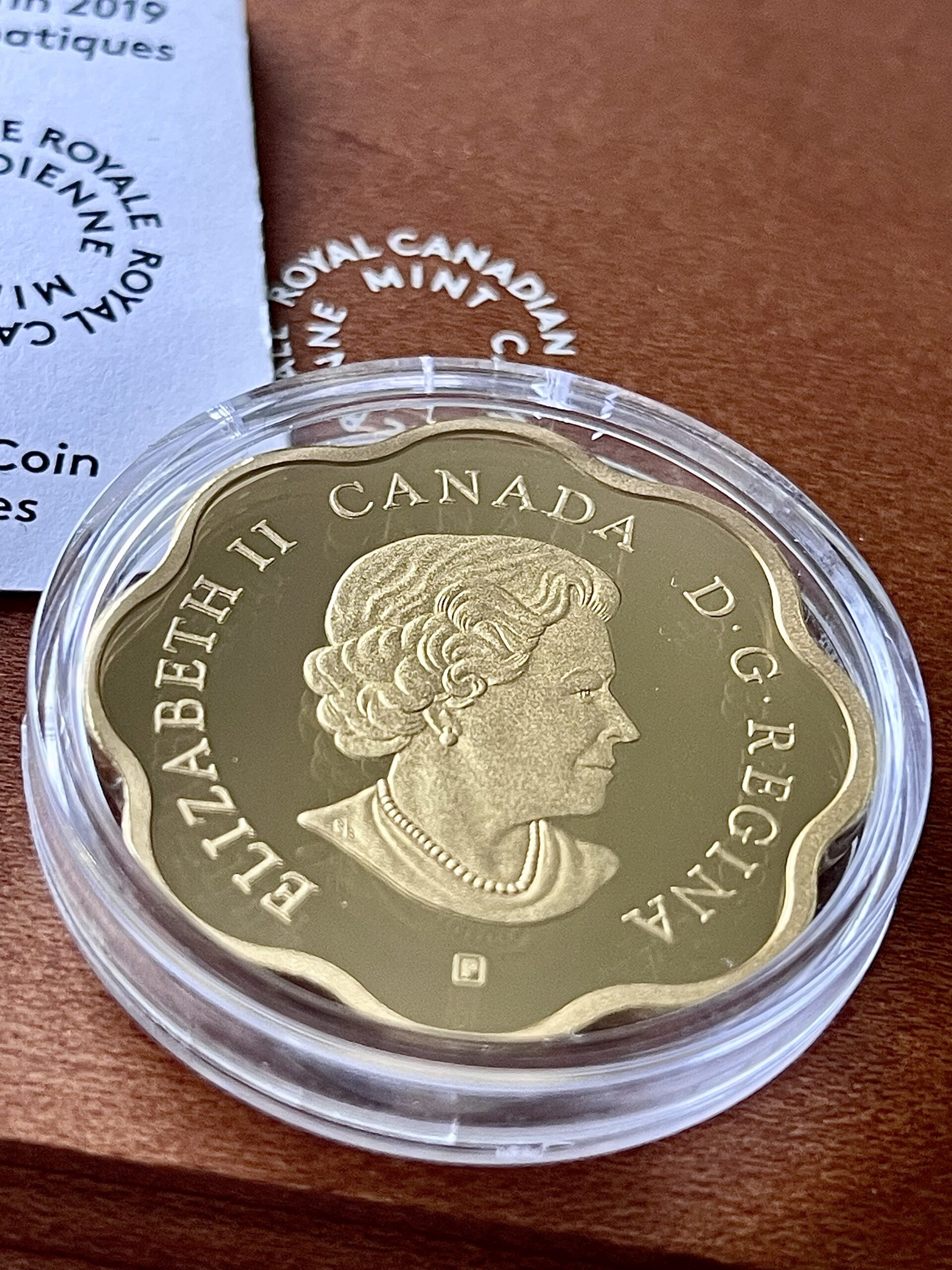 加拿大- 20 美元- 标志性的枫叶