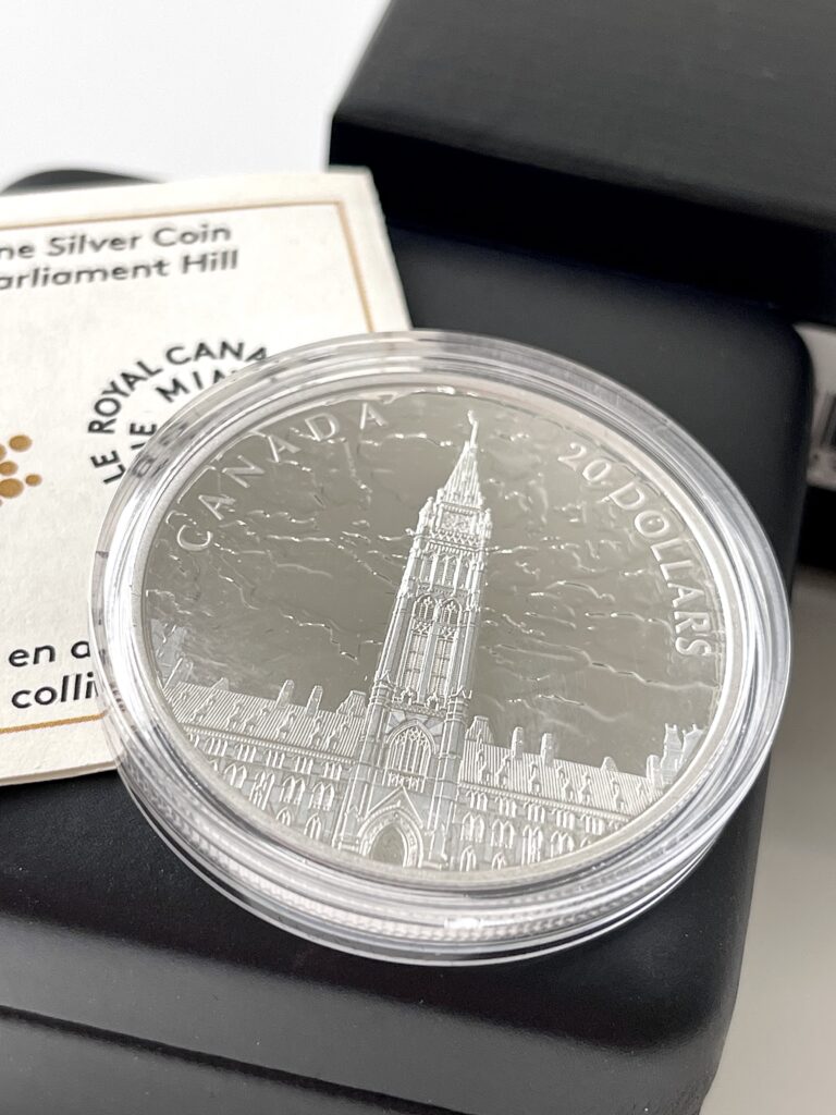 Canada 2019 20 Dollar Lights of Parliament Hill Moneta d'argento da 1 oncia luce nera
