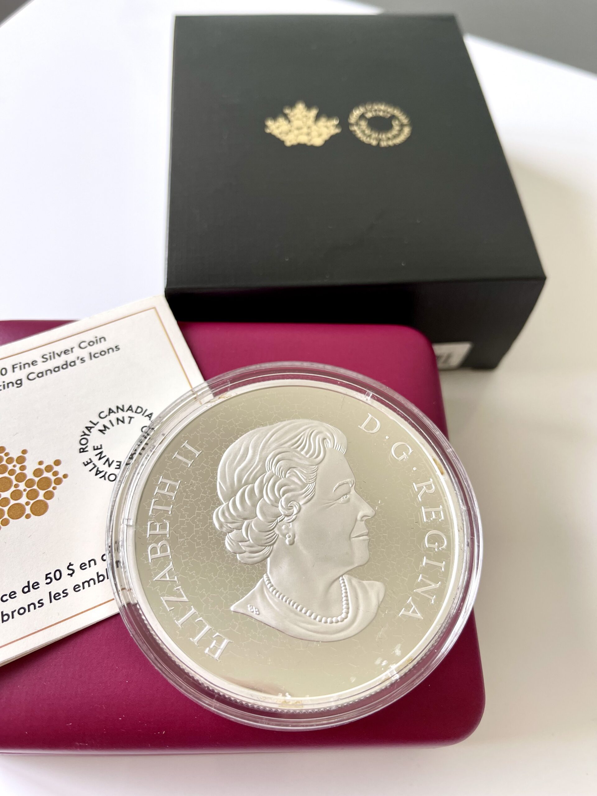 加拿大- 2019 - 加拿大的标志- 银奖
