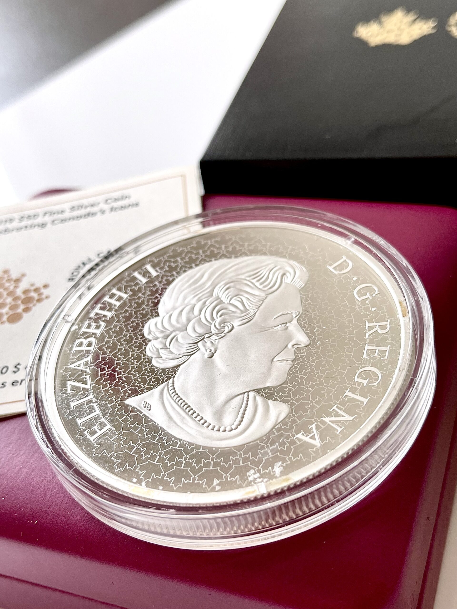 加拿大- 2019 - 加拿大的标志- 银奖