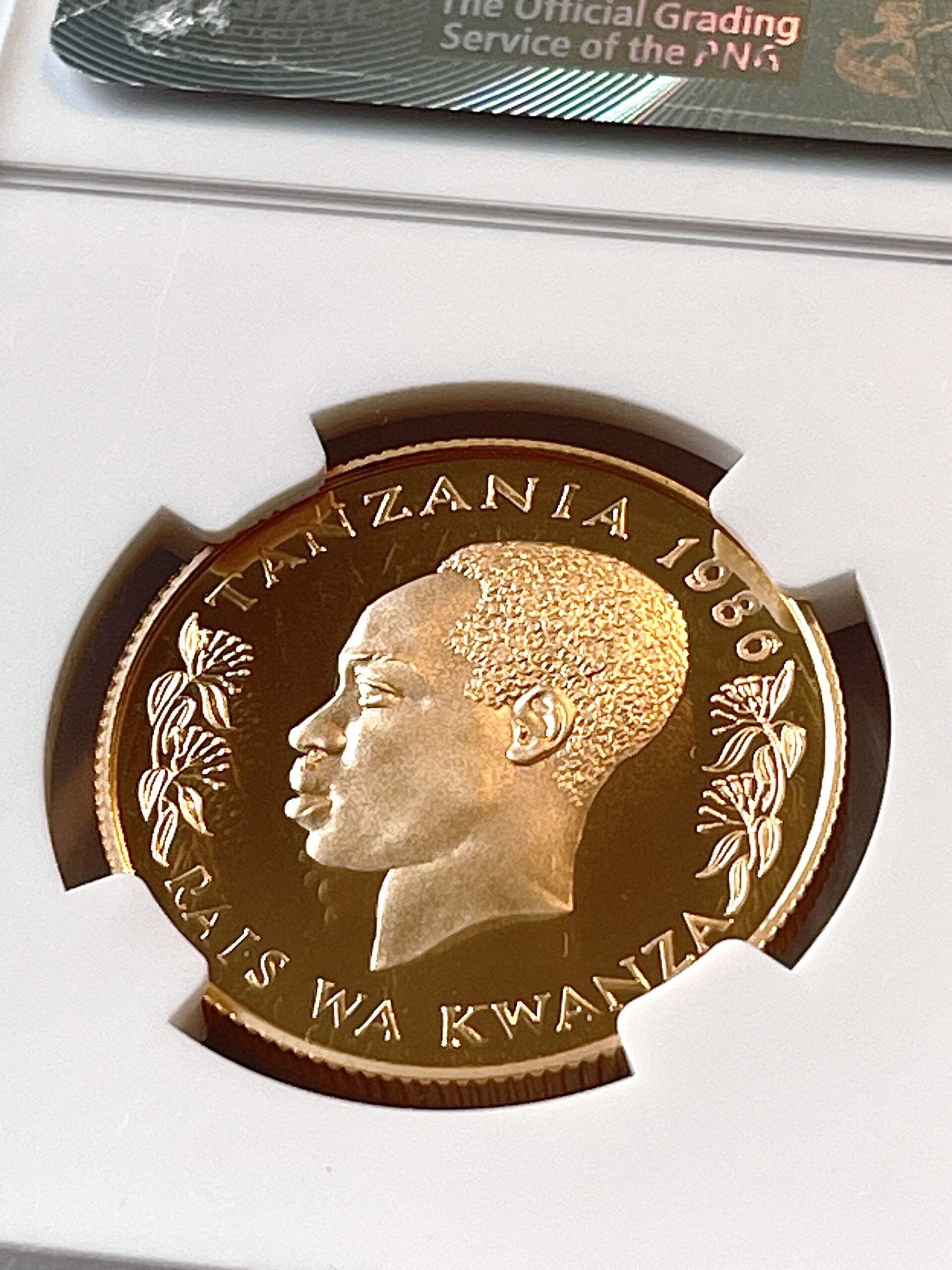 Turkiyadagi rossiyalik sayyohlarni sikayotgan yashirin kamera Sperma bilan qoplangan mushukning yaqindan surati