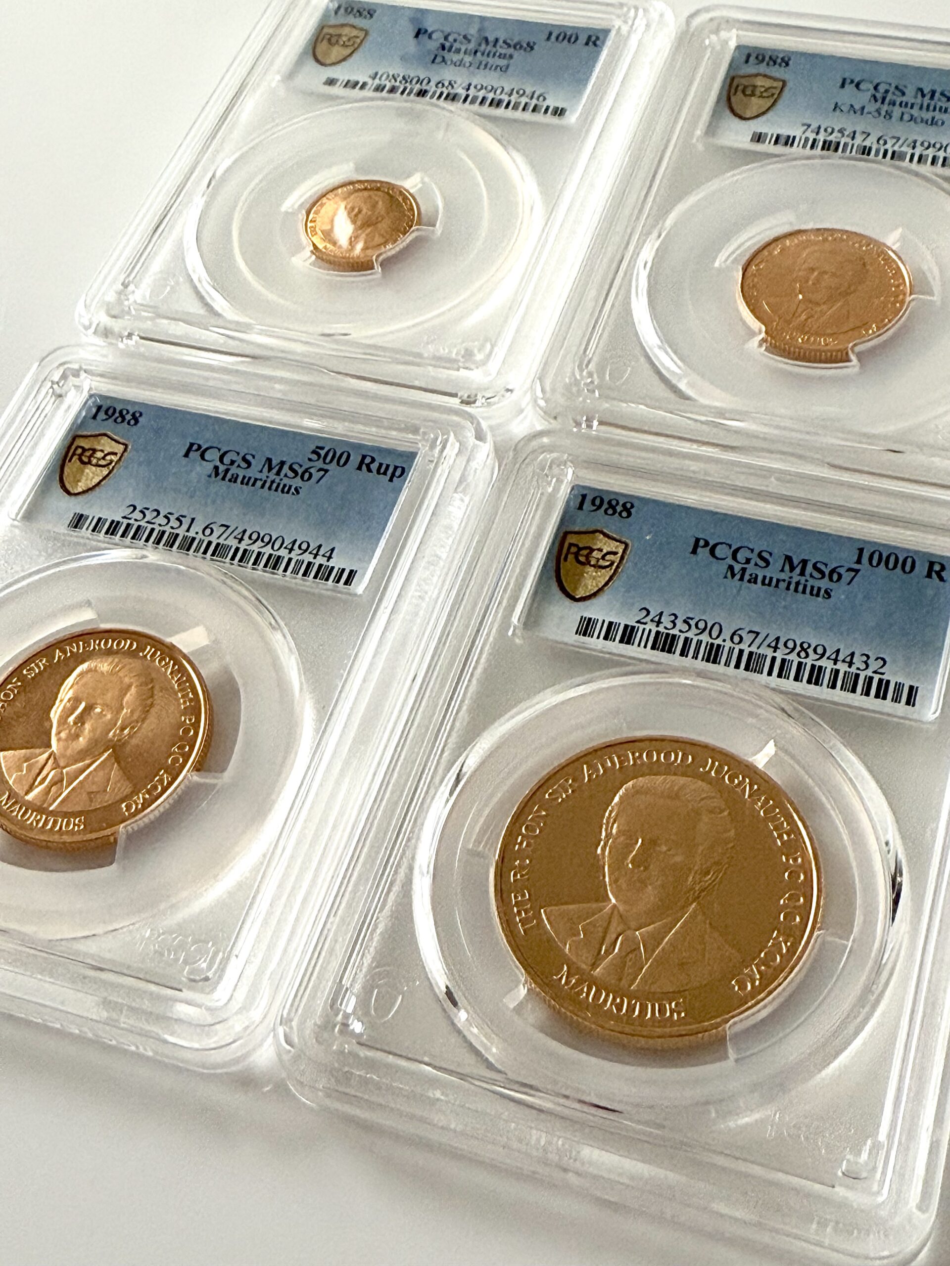 毛里求斯- 1988 - 卢比- 渡渡鸟