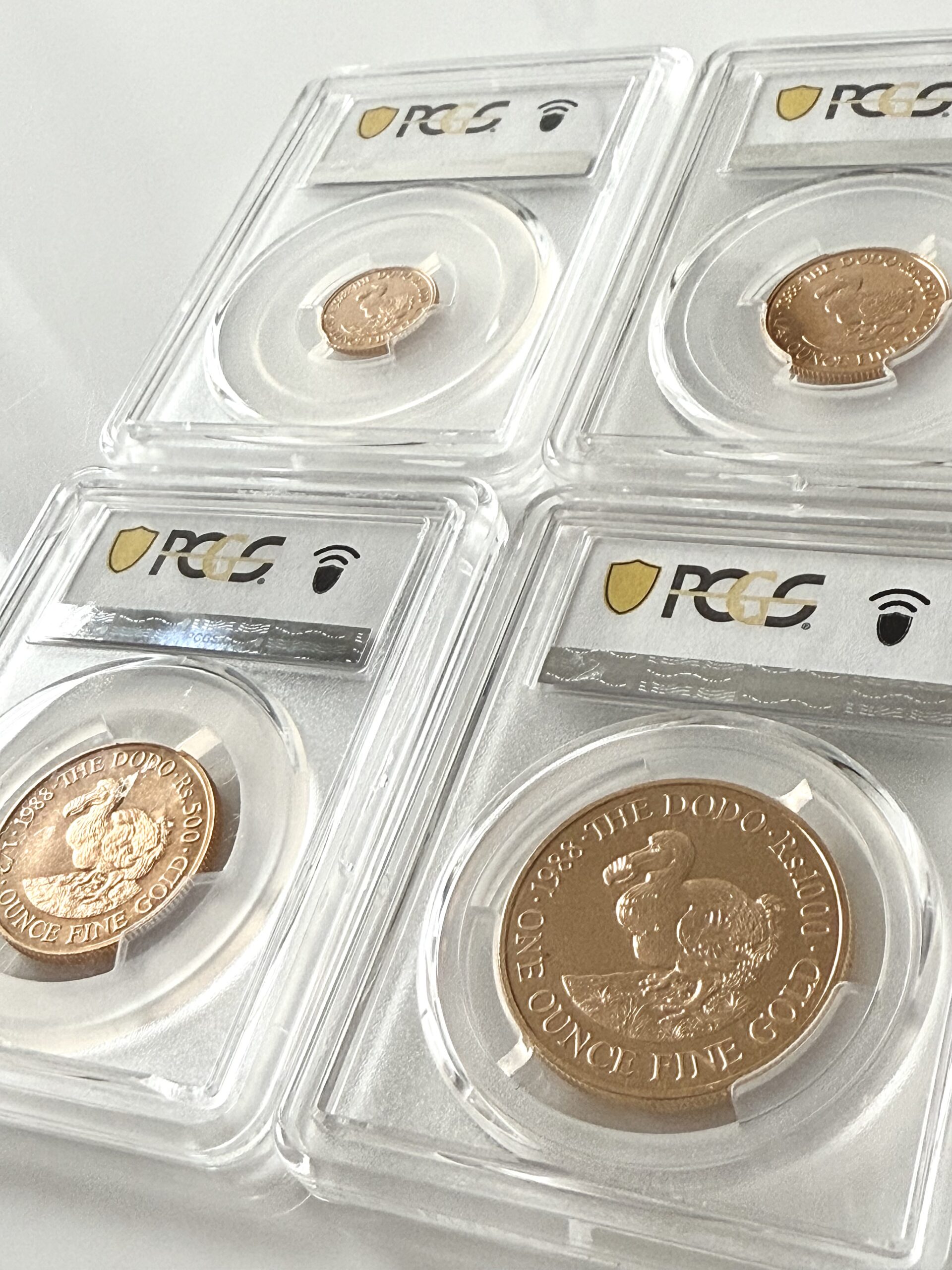 毛里求斯- 1988 - 卢比- 渡渡鸟