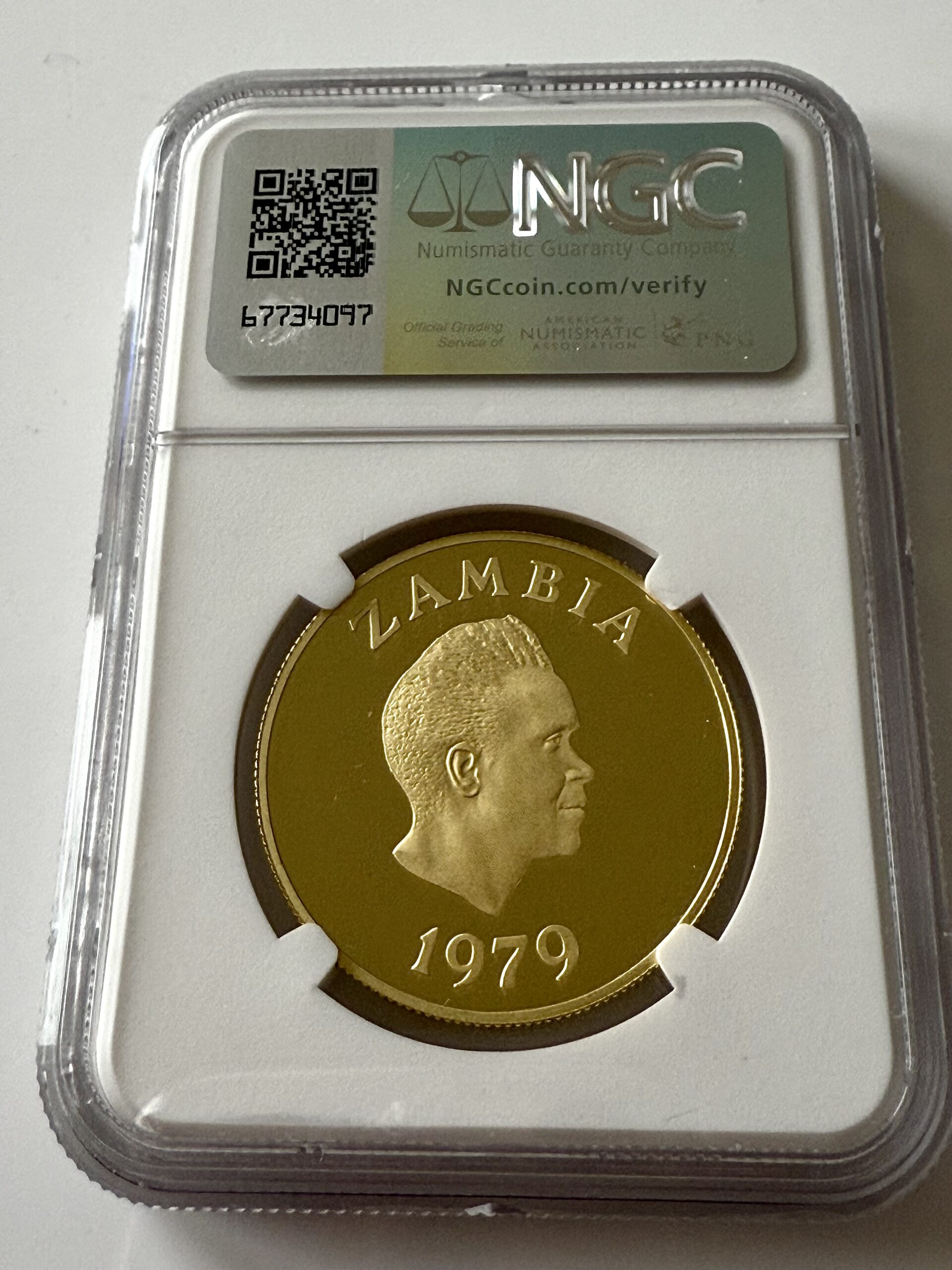 Zambia - 1979 - 250 Kwacha - Conservation - African Wild Dog