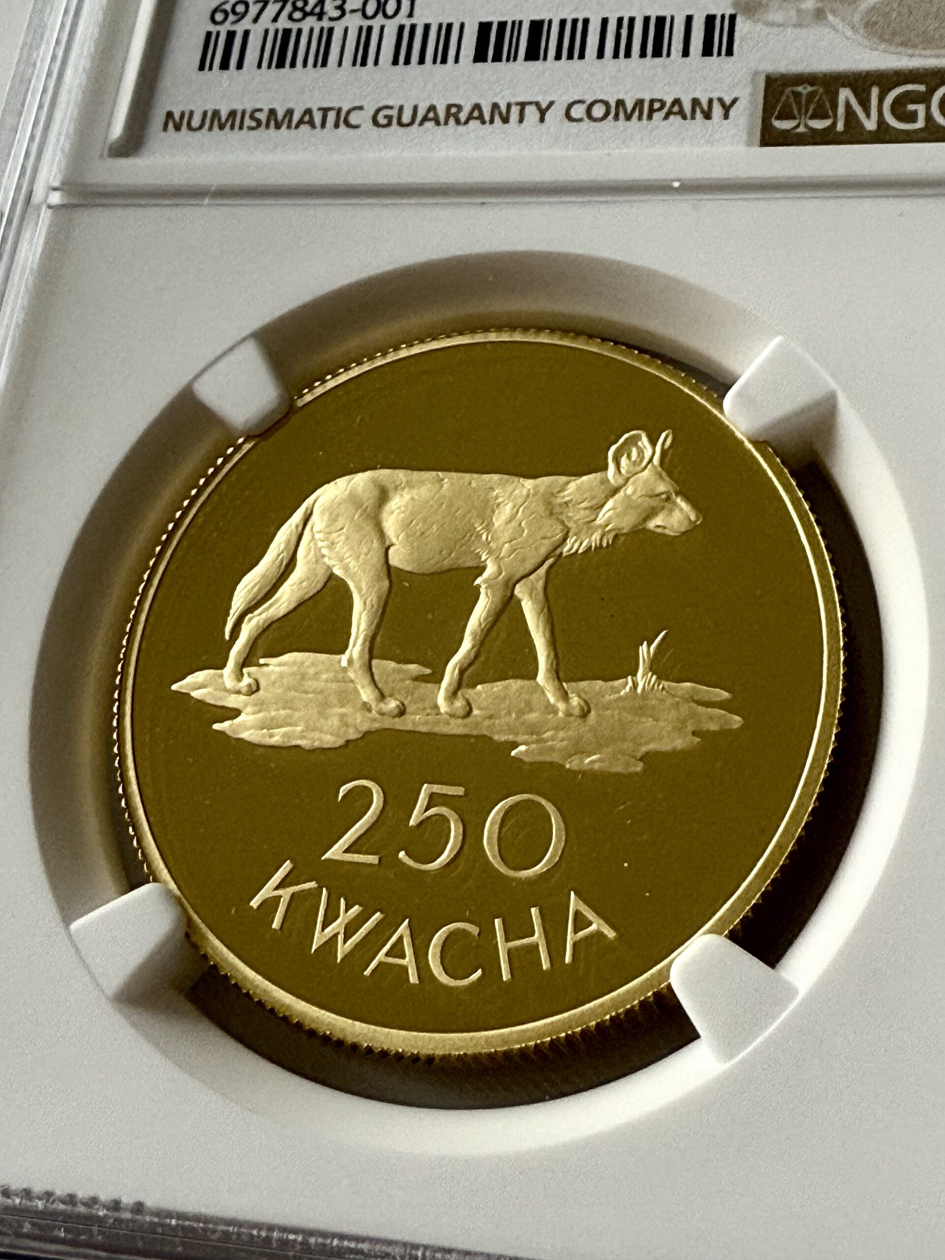 ア*ラ様 Camel TrophyTanzania-Burundi '91 Zi ア*ラ様 Camel