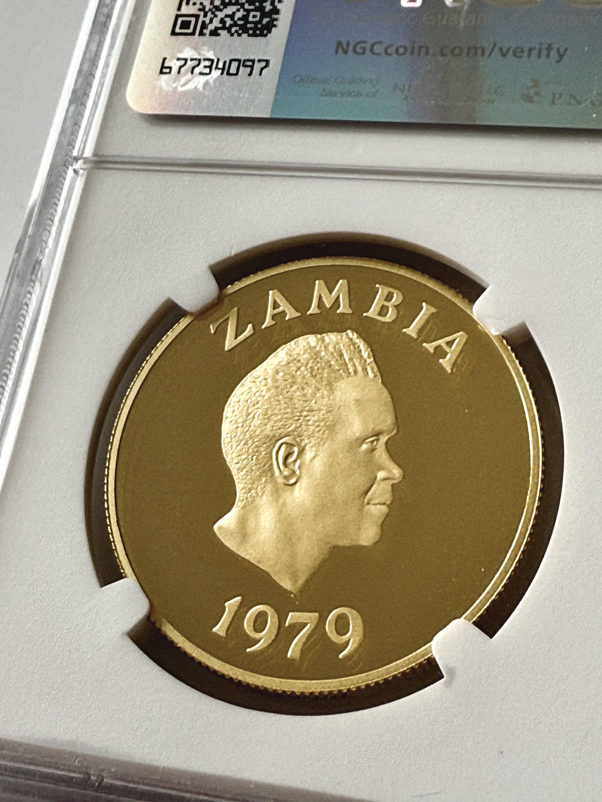 Zambia - 1979 - 250 Kwacha - Conservation - African Wild Dog