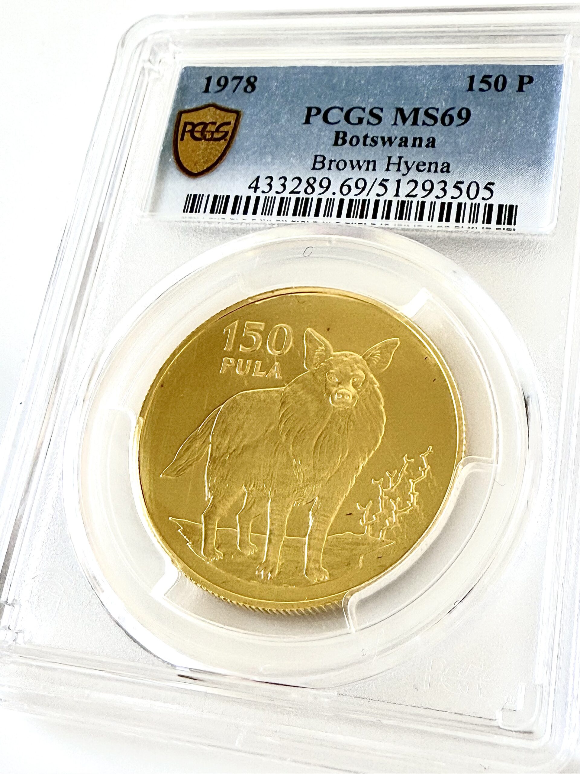 botswana-1978-150-pula-hiena-marron-oro-pcgs-ms69_1 Botswana 1978 150 pula hiena parda dorada pcgs ms69
