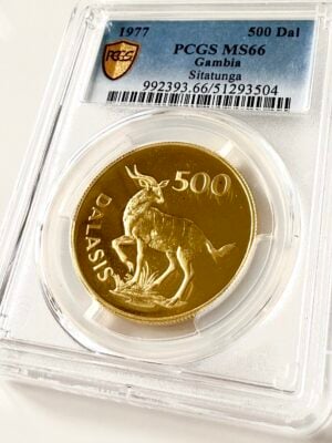 冈比亚 1977 500 Dalasis Sitatunga PCGS MS66