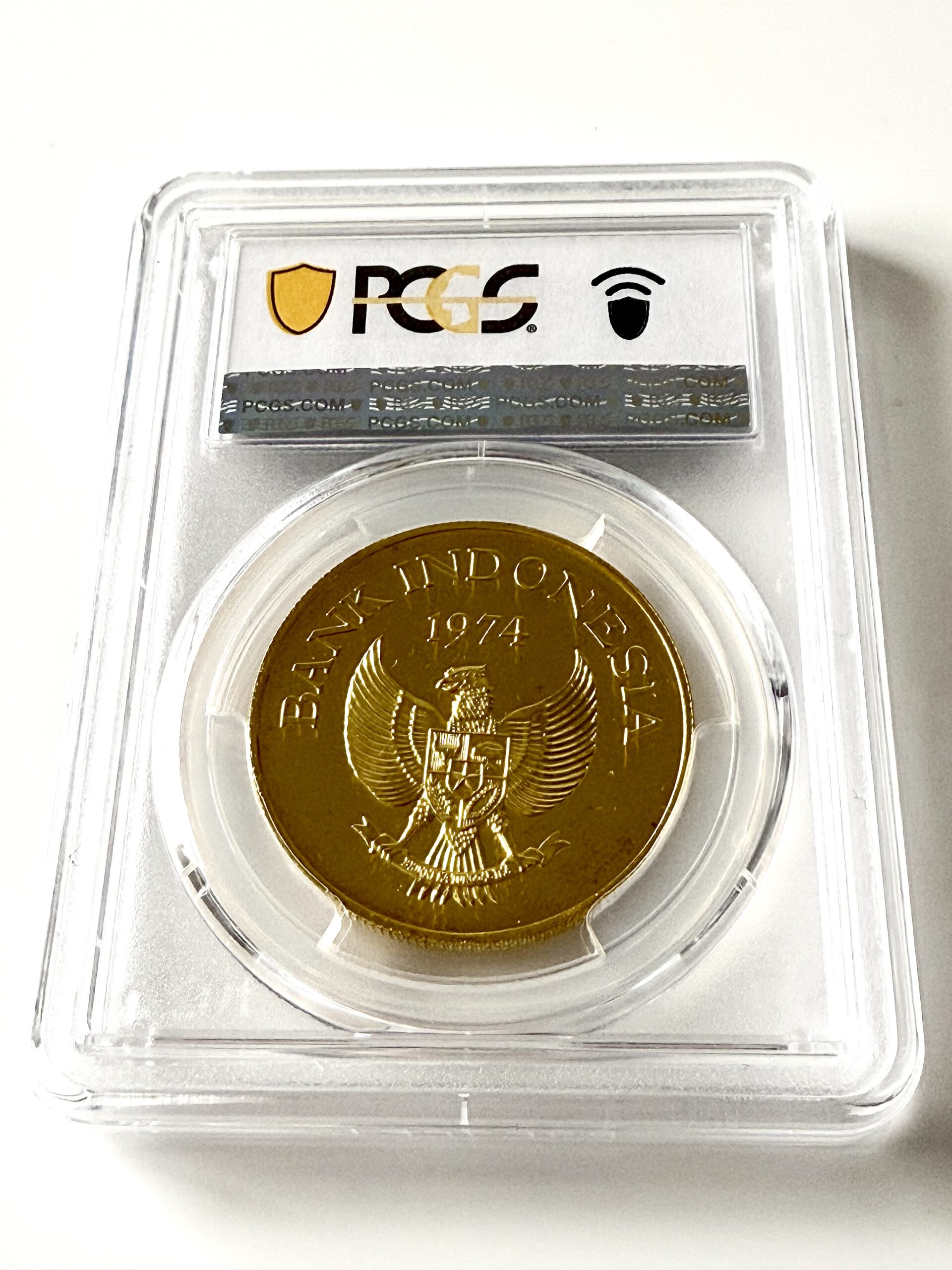 印度尼西亚- 科莫多巨蜥