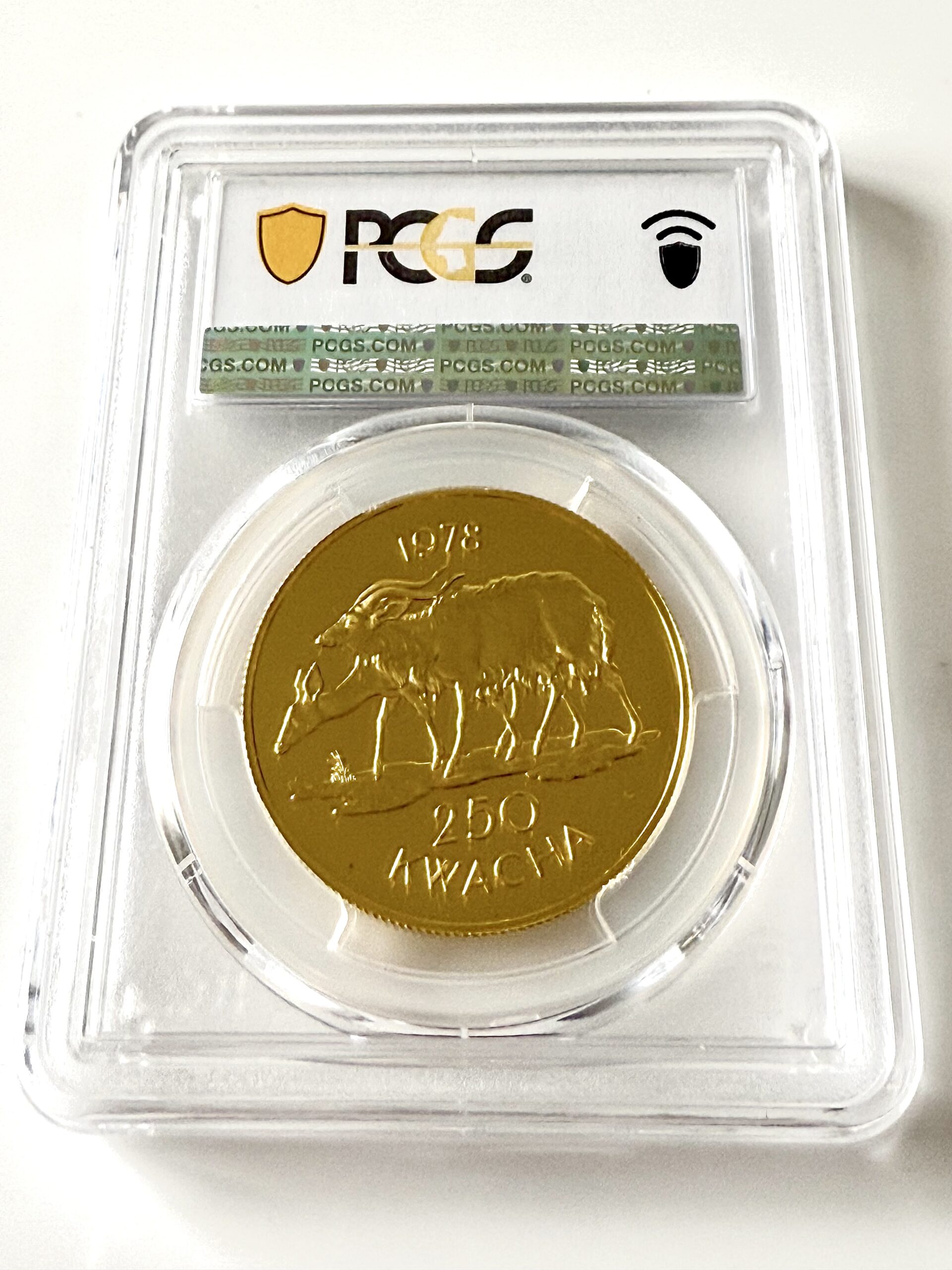 马拉维- 尼亚拉- 250 克瓦查- 1978