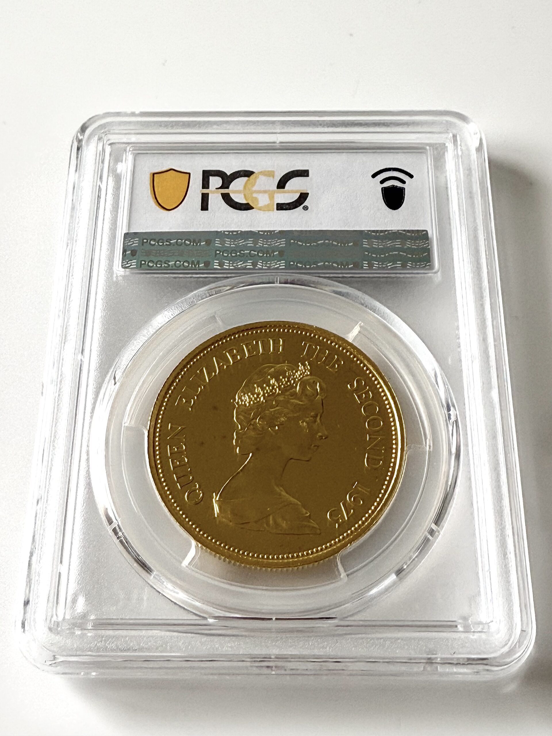 毛里求斯- 捕蝇鸟- 世界自然基金会