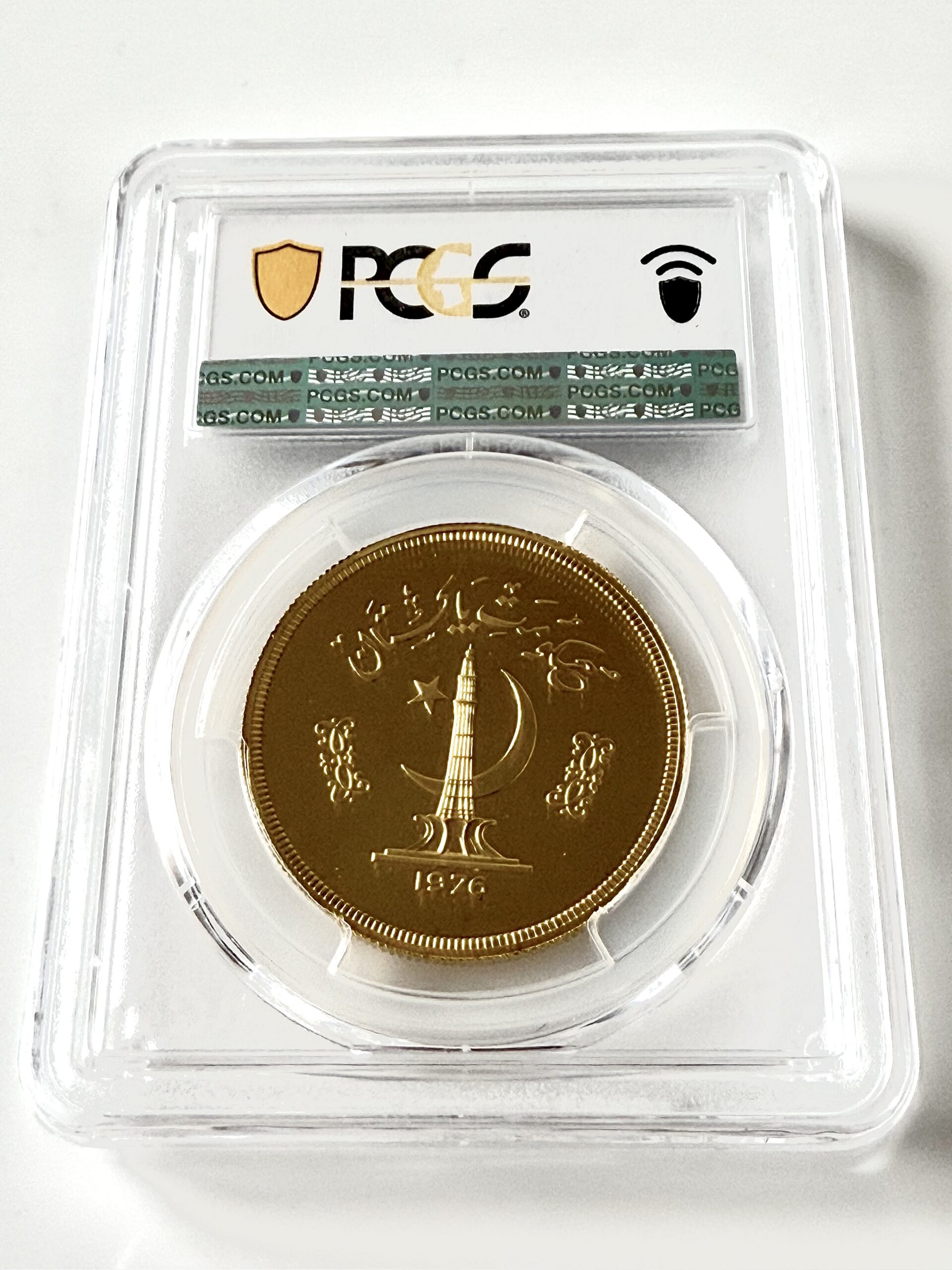 巴基斯坦- Astor Markhor