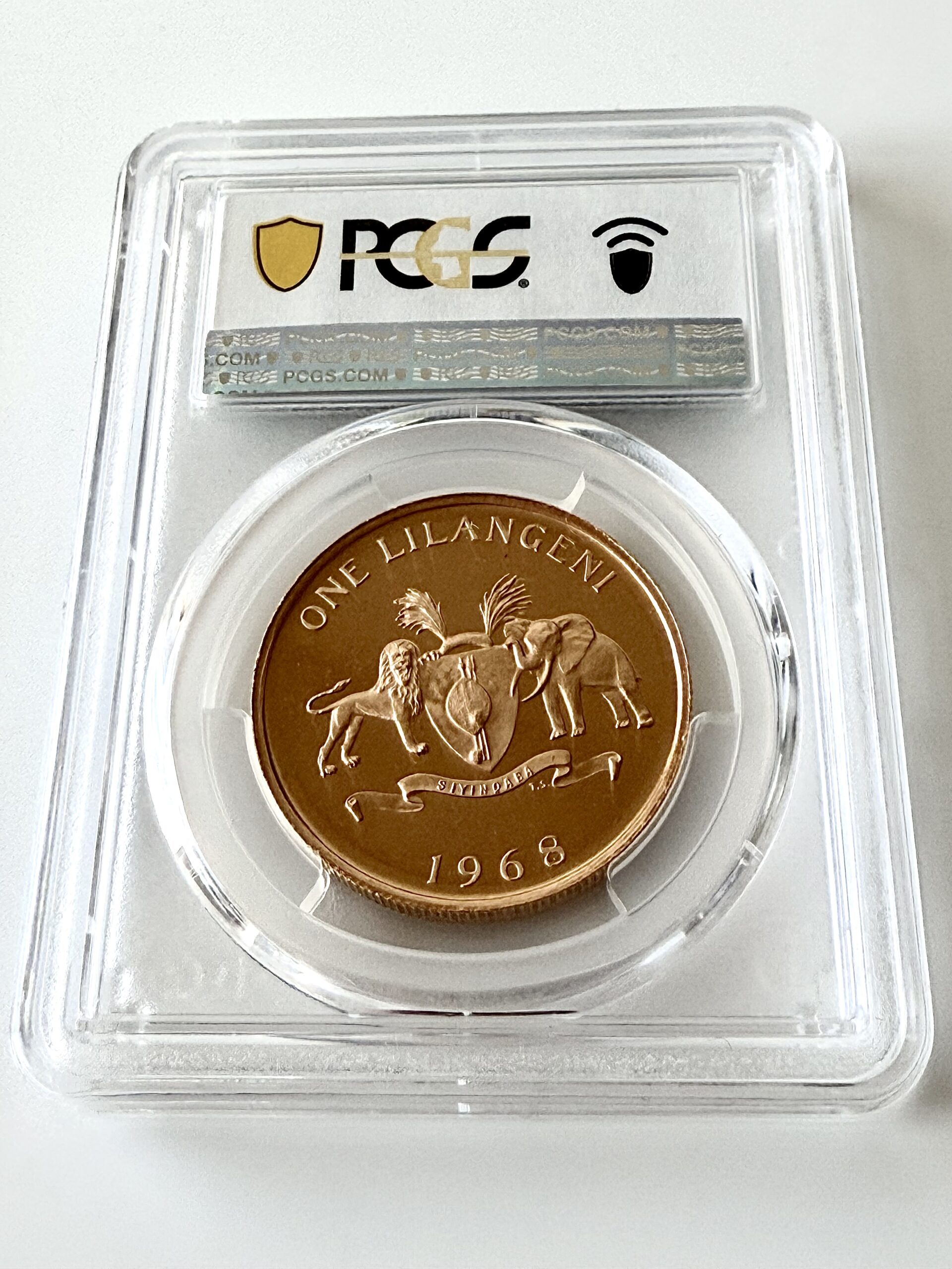 Qizni unga kunnilingus berishga kondiradi Men onanizm qildim va trusiklarim bilan keldim.