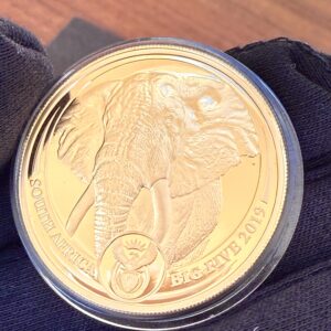Big five 2019 Elefant Serie 1 Gold 1oz Proof