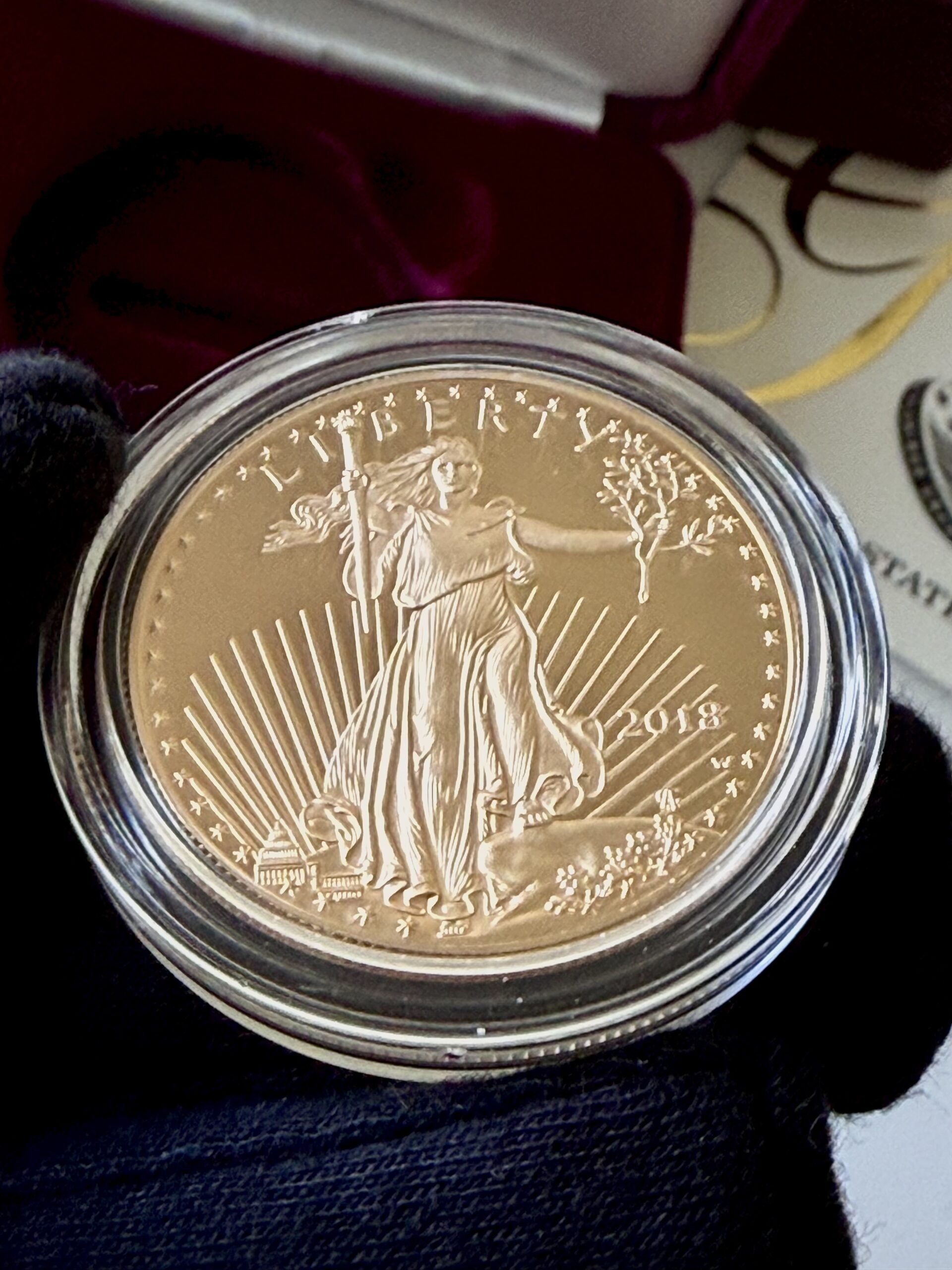 【レア】2018 アメリカンイーグル バブルガム1OZ 銀貨 2018 1 oz American Silver Eagle Coin l JM Bullion™
