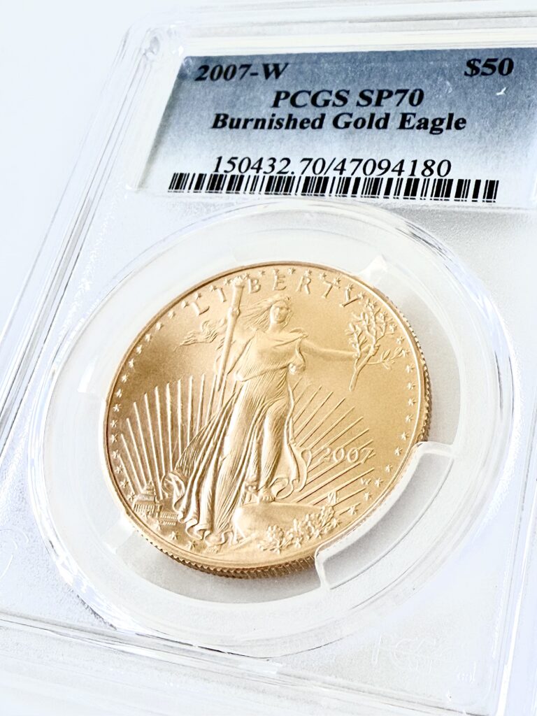 USA 2007 American Eagle Burnished PCGS MS70