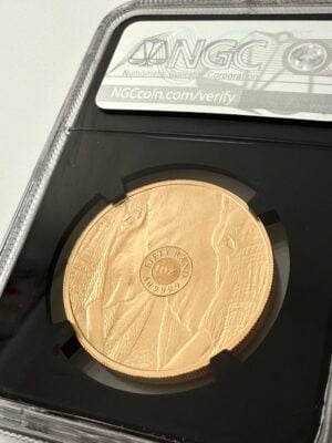 big5-elefant-2019-ngc-pf70-ucam-fdi_2 Big5 Elefant 2019 NGC PF70 UCAM FDI
