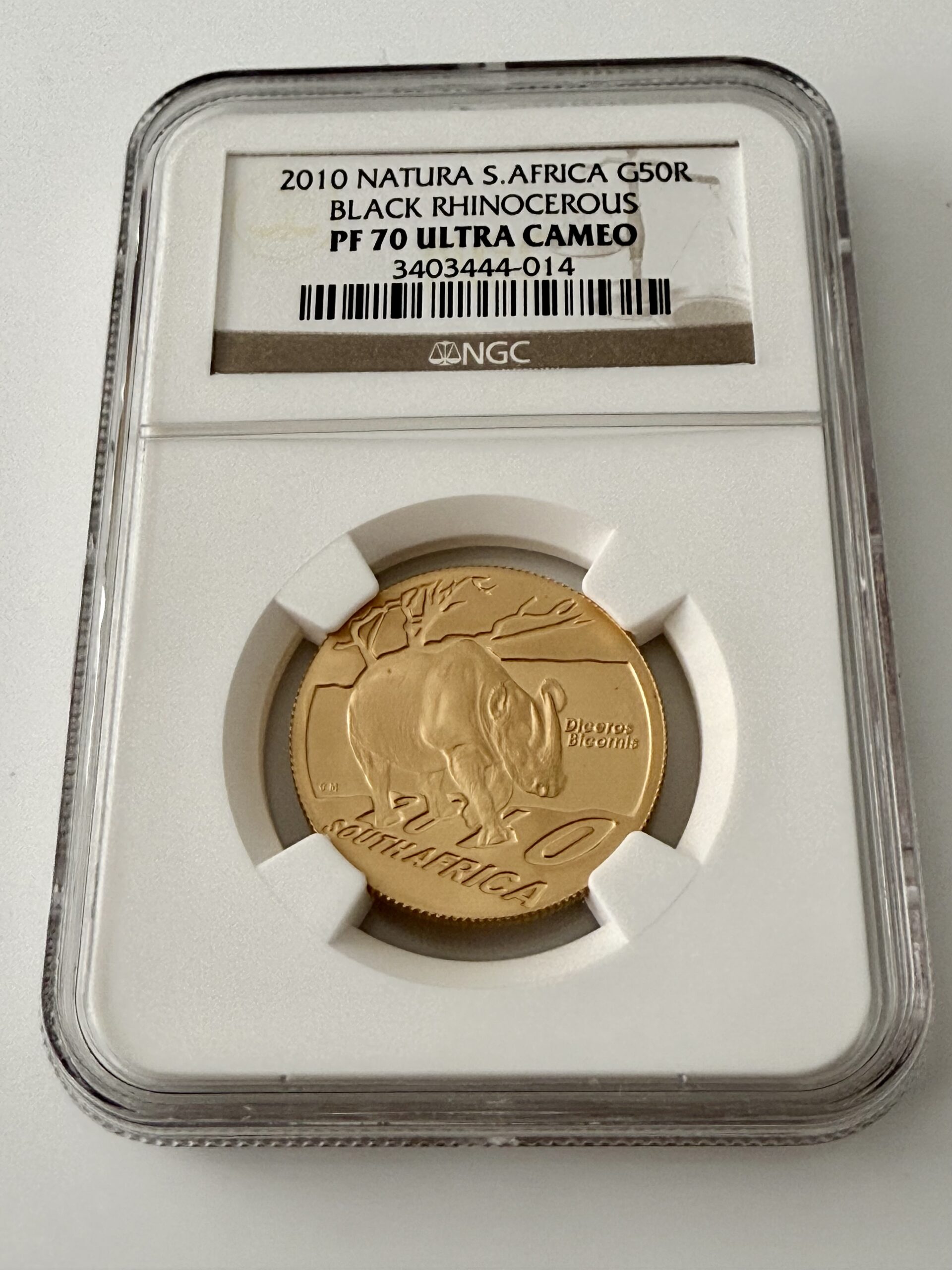 South Africa – Natura – 2010 – Black Rhino