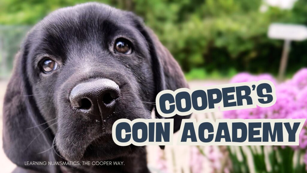 Le chiot labrador Cooper en tant que numismate junior avec l'inscription « Cooper's Coin Academy » – un apprentissage ludique de la numismatique.