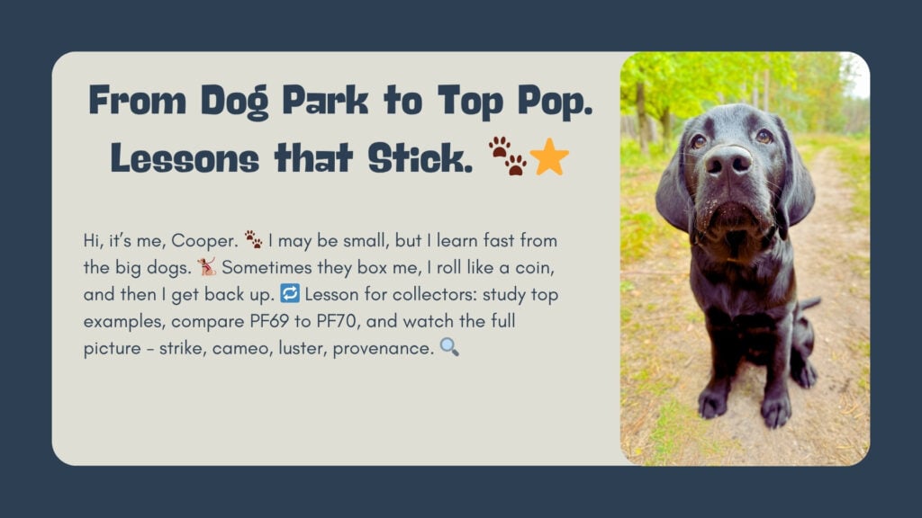Social Card mit Überschrift „From Dog Park to Top Pop. Lessons that Stick.“ Links steht ein Textblock mit Emojis, rechts ein Foto des schwarzen Labradorwelpen Cooper auf einem Waldweg. Inhaltlich geht es um Sammel-Tipps: Top-Beispiele studieren, PF69 mit PF70 vergleichen, das Gesamtbild aus Strike, Cameo, Luster und Provenienz beachten.