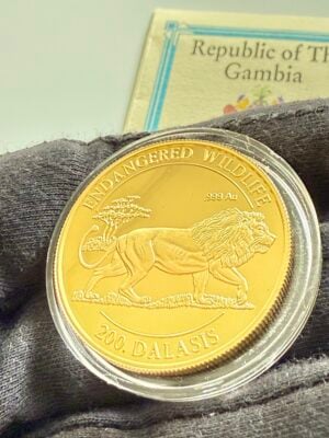 Gambia 1996 200 Dalasis Moneda de Oro León Fauna en Peligro de Extinción 1oz .999 Au Proof en cápsula transparente, COA de la República de Gambia parcialmente visible en el fondo.