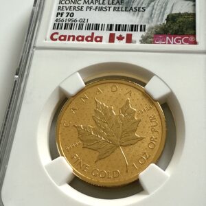 Canada Gold Maple Leaf 1 oz 99999 in NGC holder, macro of the motif side with maple leaf