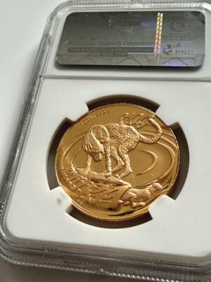 Natura-2002-猎豹-NGC-PF69-ucam_2