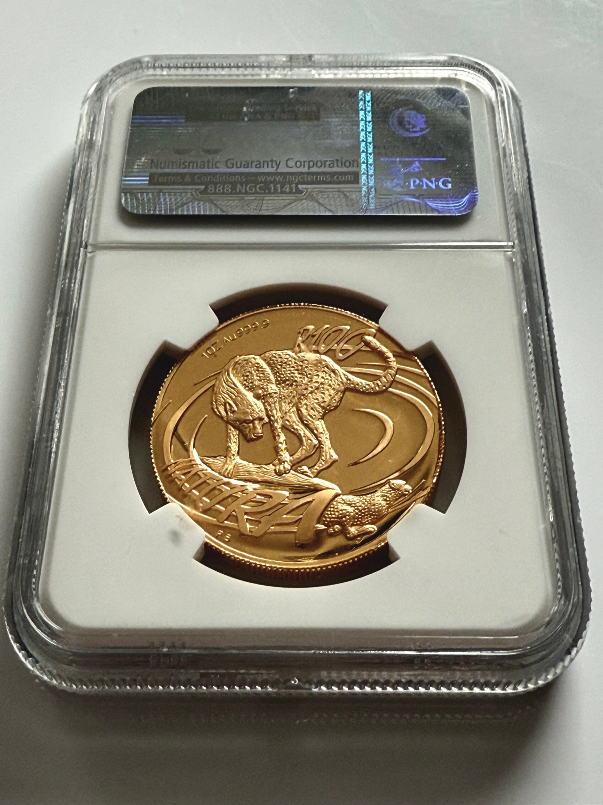South Africa – 2002 – Natura – Cheetah – 100 Rand – 1oz Gold Proof