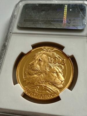 natura-2003-loewe-privy-mark-lion-park-rsa-ngc-pf69-ucam_2 南非2003年自然雄狮1盎司精制金币,附枢密院标志狮子公园RSA - NGC夹的细节视图