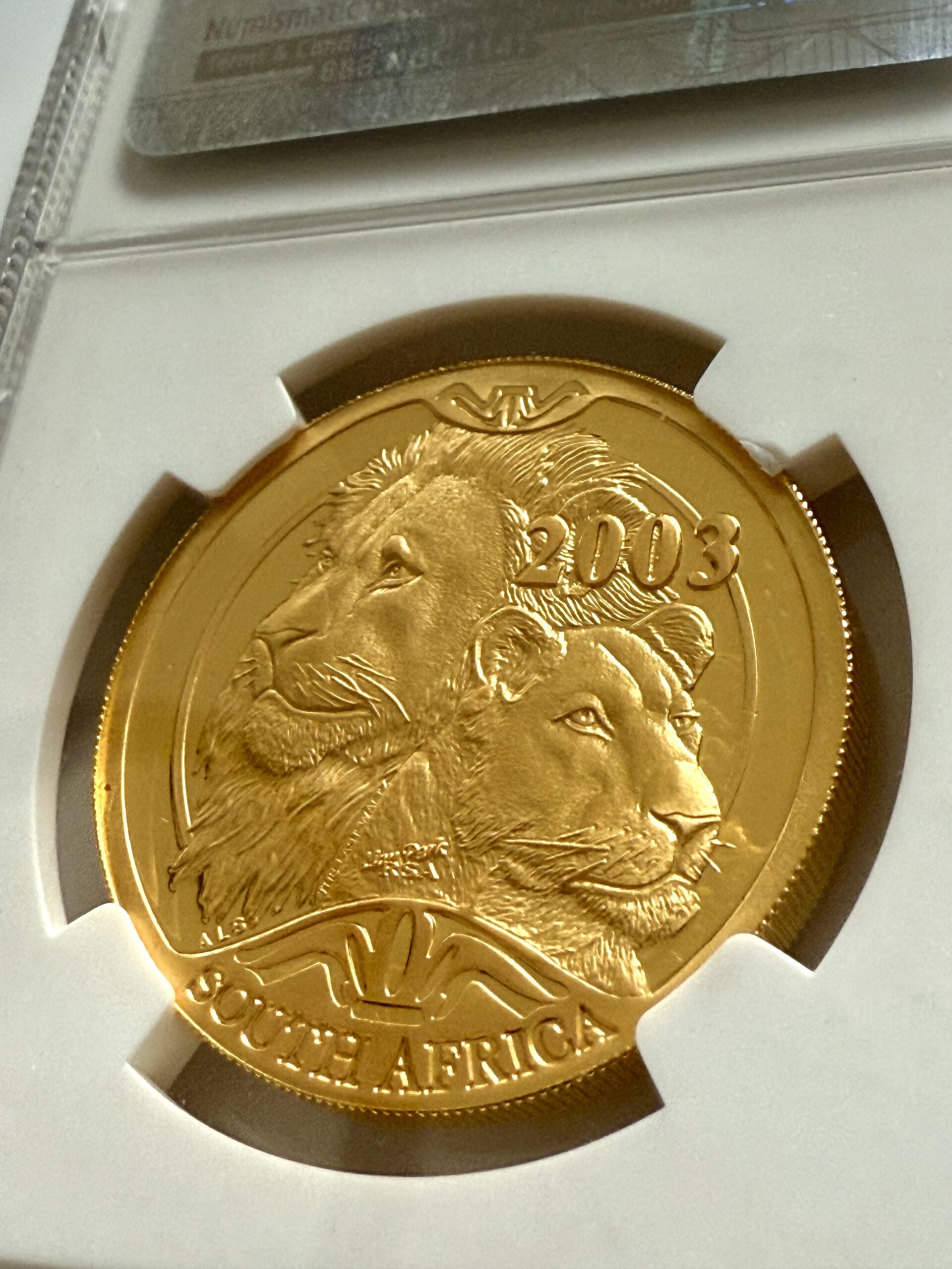 natura-2003-loewe-privy-mark-lion-park-rsa-ngc-pf69-ucam_6 Südafrika 2003 Natura Löwe 1 oz Proof Gold mit Privy Mark Lion Park RSA - Detailansicht im NGC-Holder