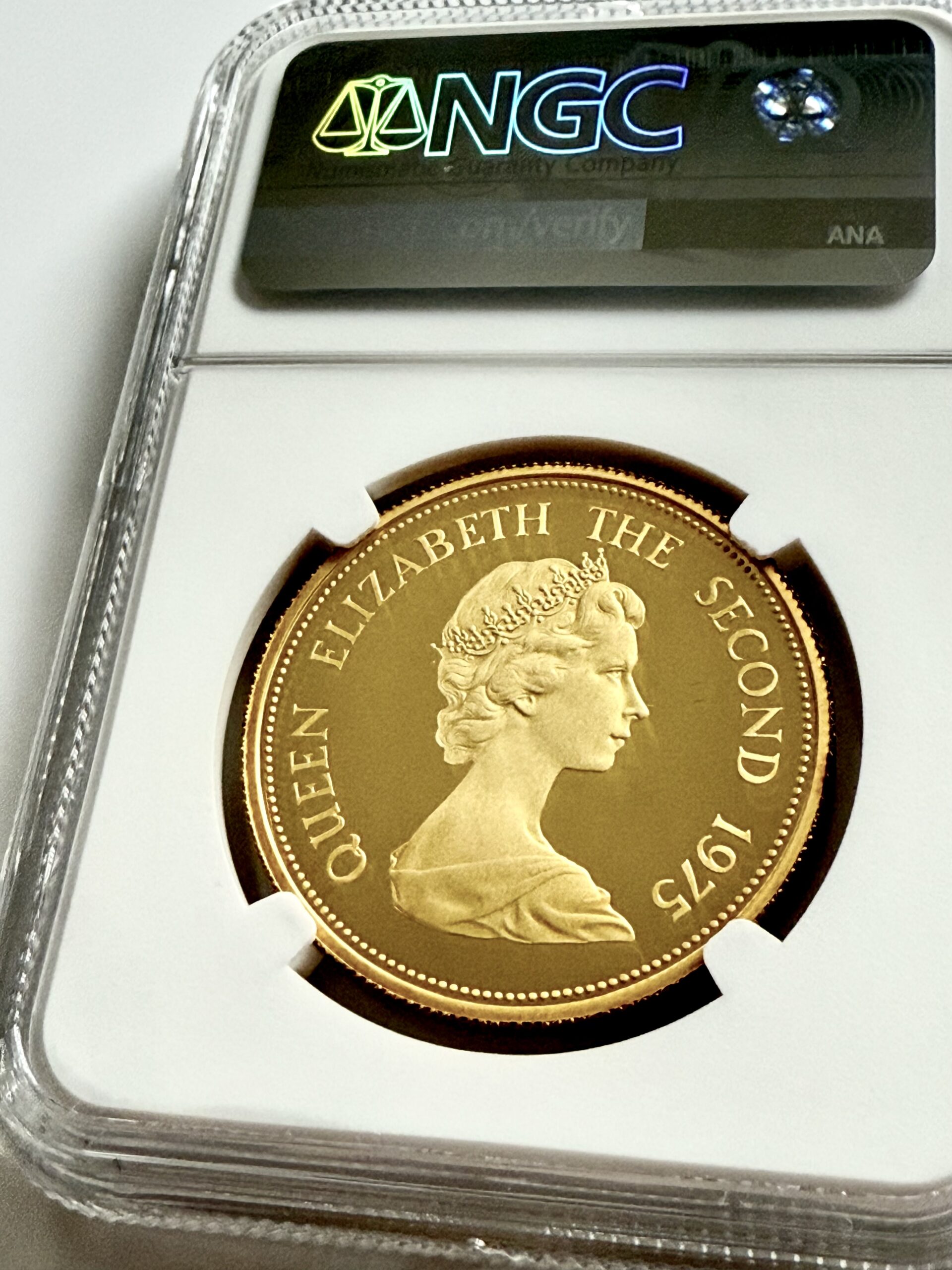 毛里求斯- 1975 - 1000 卢比毛里求斯鹟