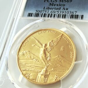 墨西哥 2010 1 Onza 金色 Libertad PCGS MS69,透明护套,带有胜利天使图案